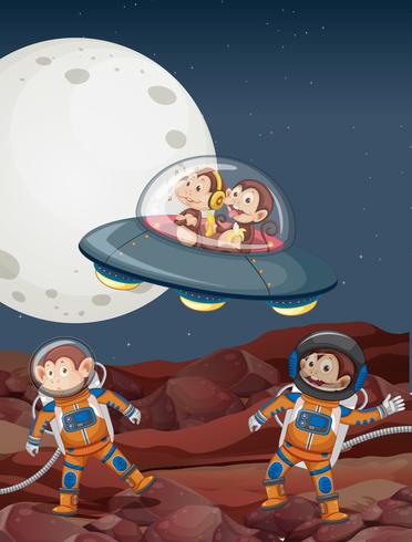 Monkey on the space vector
