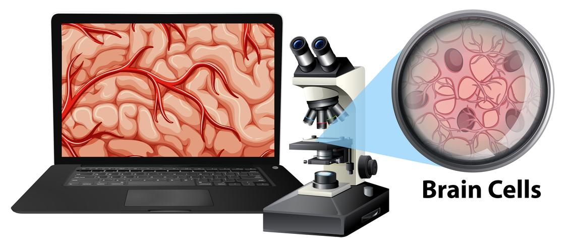 Close up of brain cells with mircoscope and laptop vector