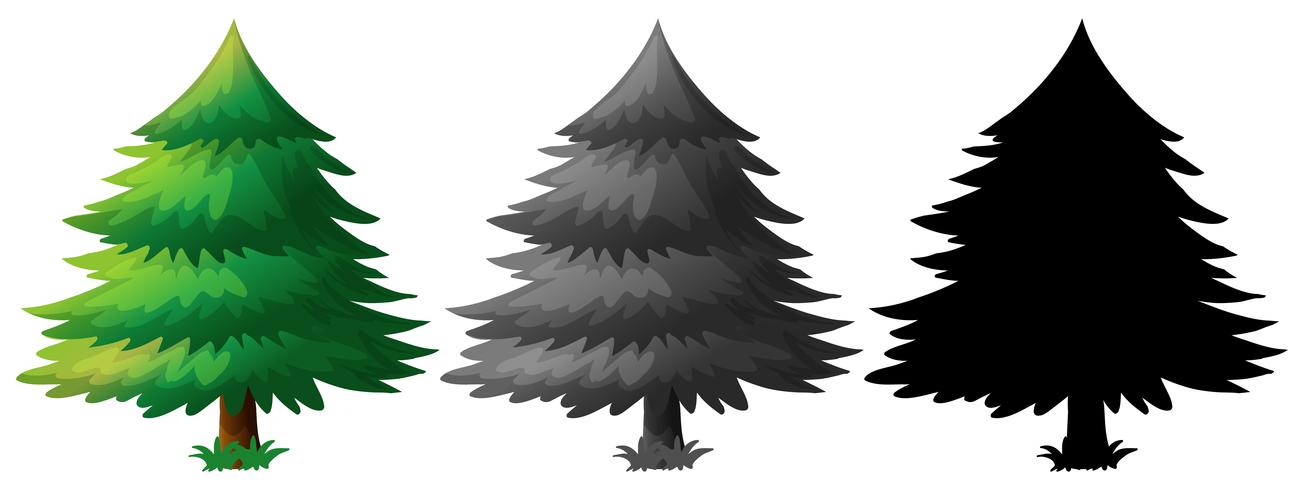 Set of pine tree vector