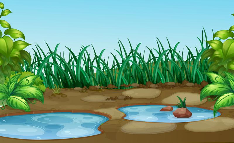 Small water hole in natue vector