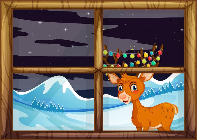 Reindeer behide window concept vector