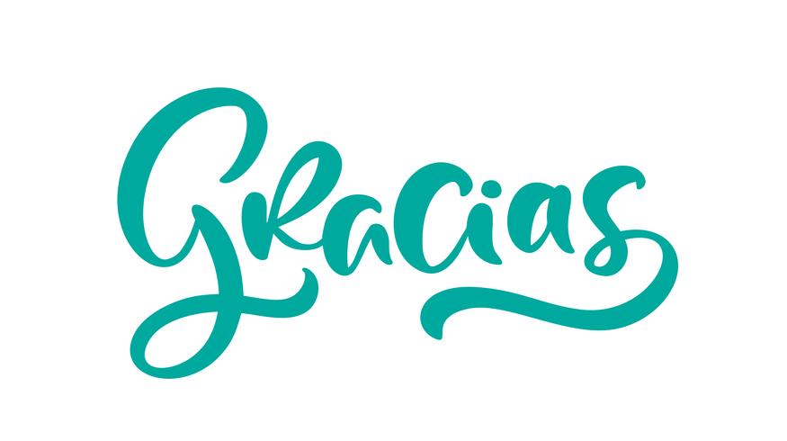 Gracias Thank you in Spanish Modern brush calligraphy vector