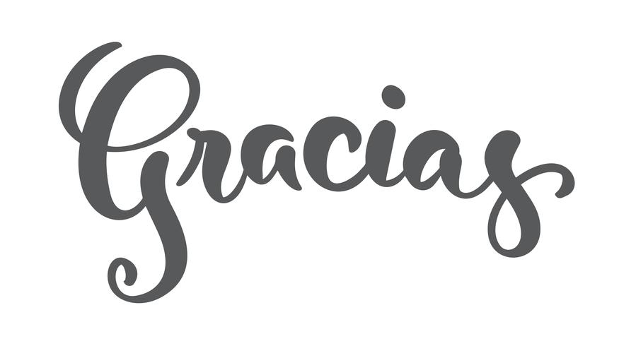 Gracias Thank you in Spanish modern brush calligraphy vector