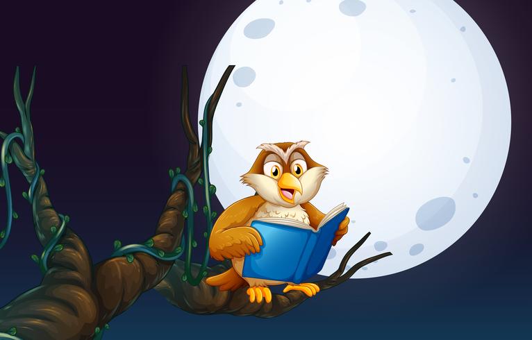An Owl Reading a Book vector