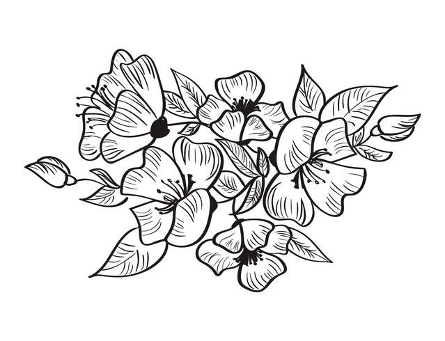 Hand drawn sketch of Rosa canina flower vector