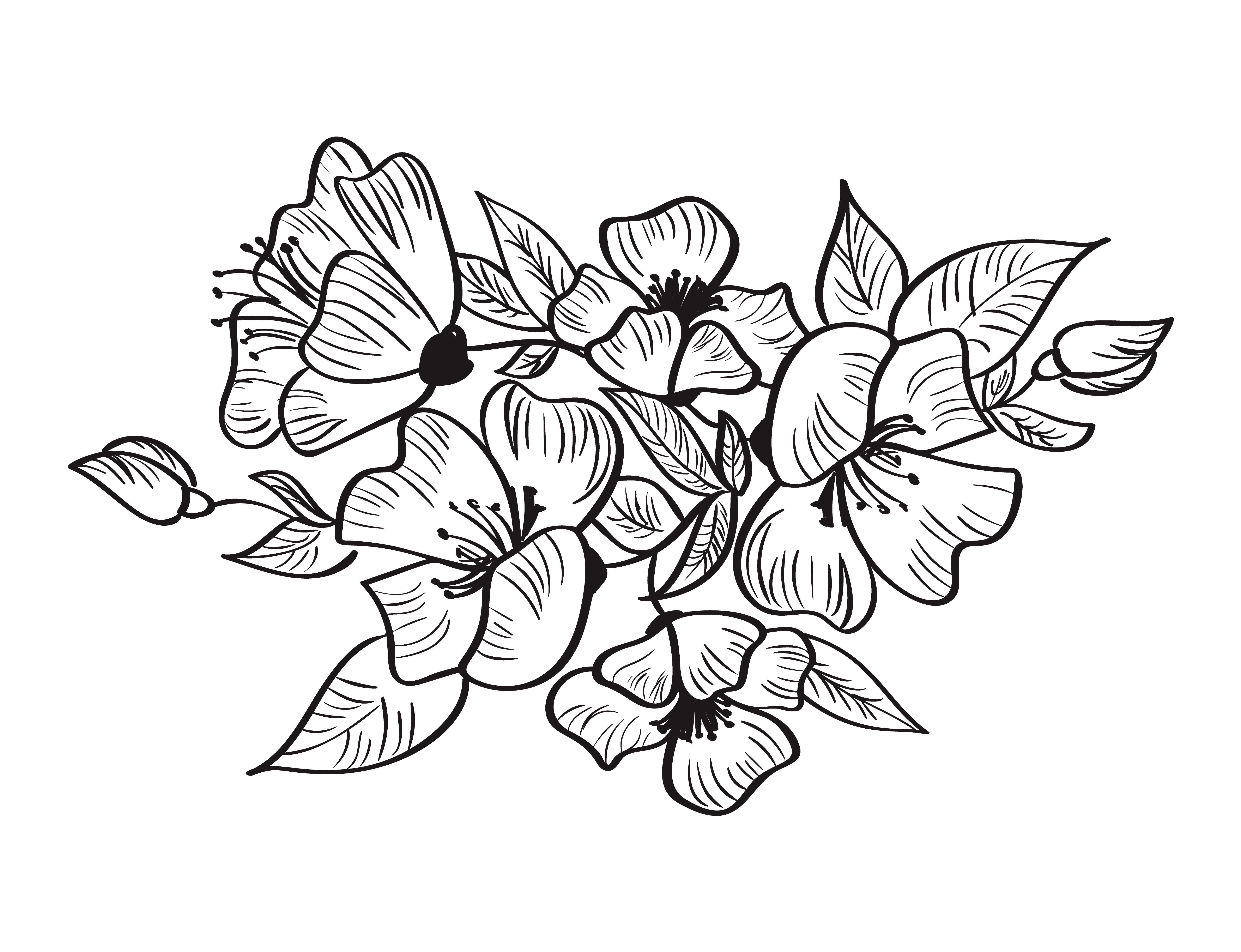 Free Free 55 Flower Svg Sketch SVG PNG EPS DXF File