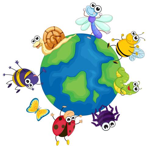 Different bugs around the world vector