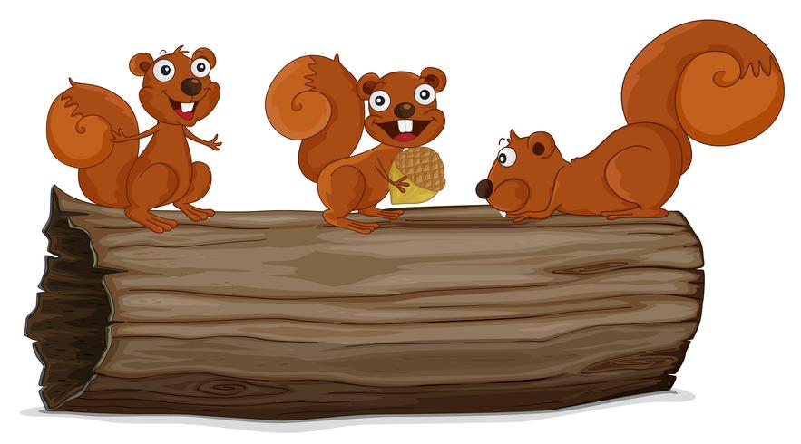 Squirrels on a log vector