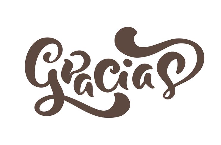 Gracias Vector text in Spanish Thank you. Lettering calligraphy vector illustration. Element for flyers, banner and posters print. Modern calligraphic