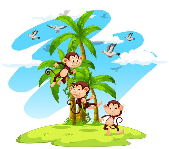 Three monkeys on the island vector