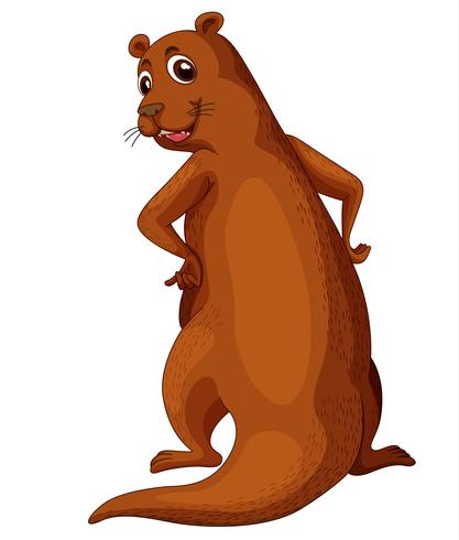 Otter vector