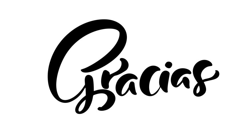 Modern brush calligraphy. Gracias hand written lettering. Thank you in spanish. Isolated on background. Vector illustration
