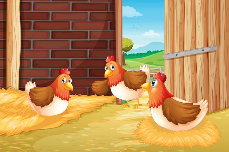 Three chickens nesting vector