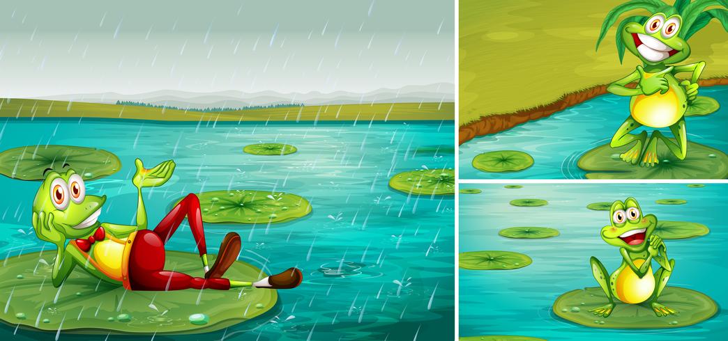 Scene with frogs in the pond vector