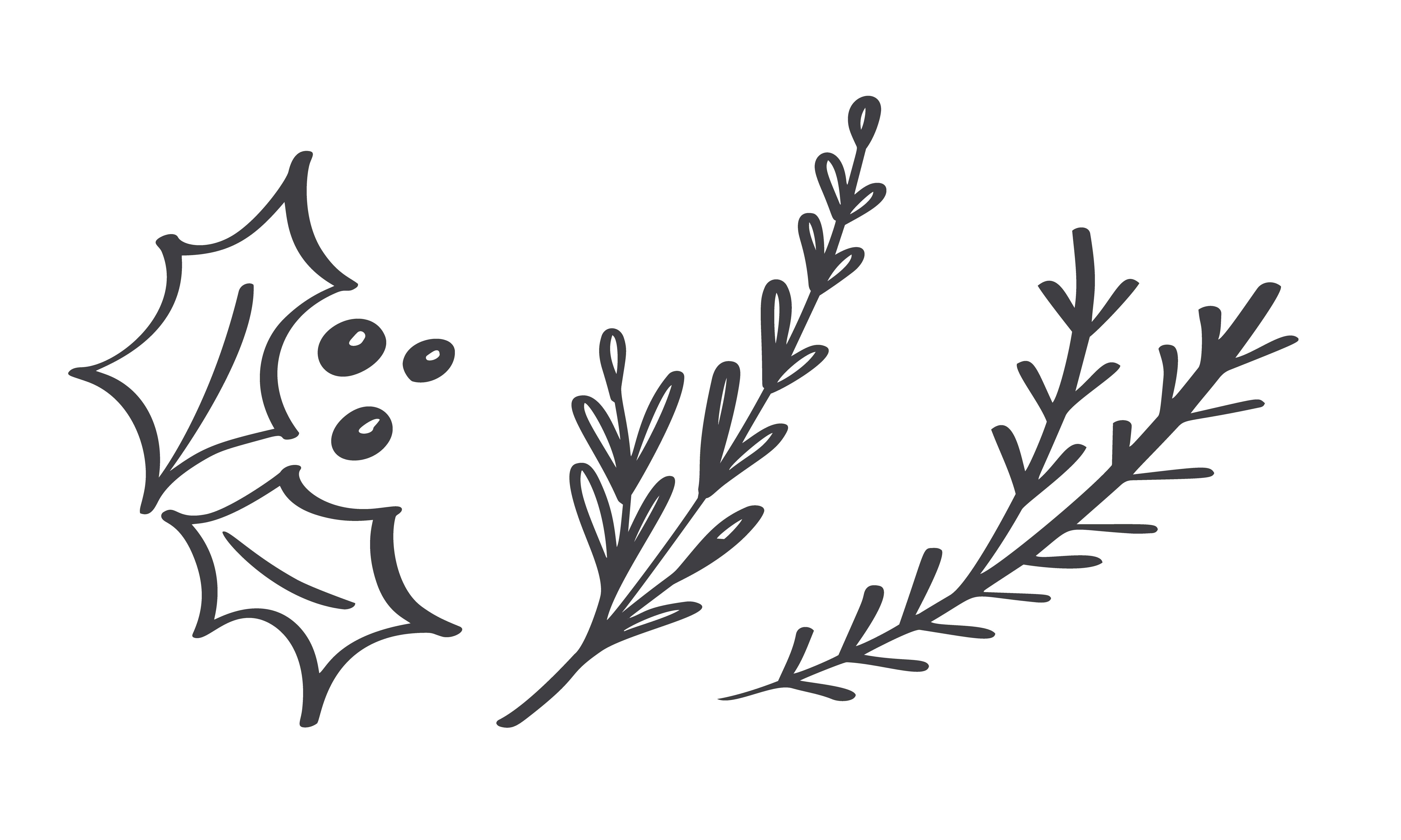 Download Christmas decorative branch elements design floral leaves ...