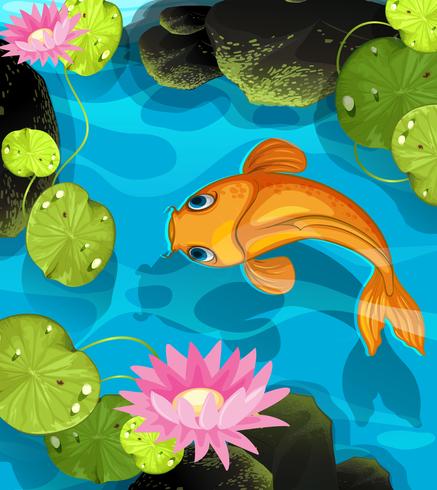 Koi nadando en la piscina de loto vector