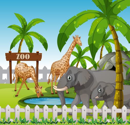 Giraffe and elephant at the zoo vector