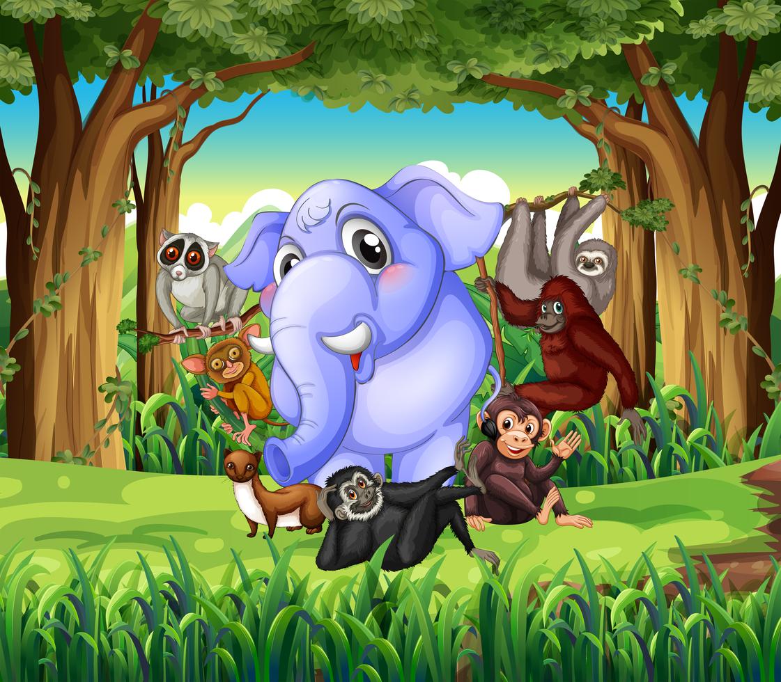 Wild animals in the jungle 375466 Vector Art at Vecteezy