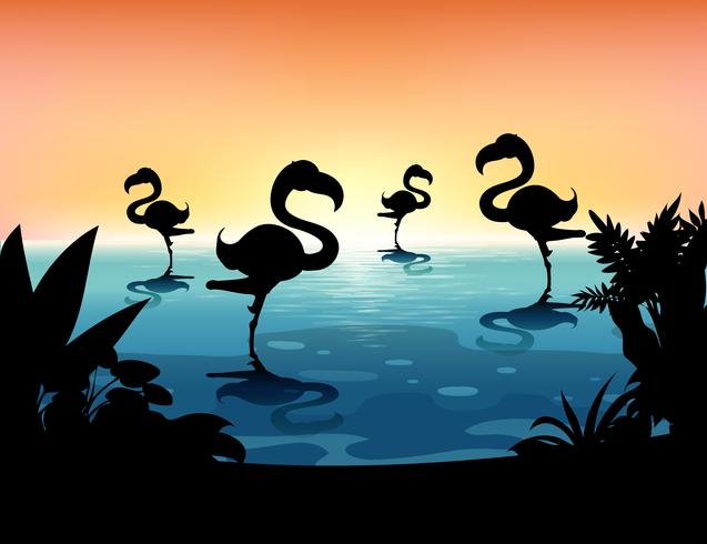 Sihouette scene with flamingo in the pond vector