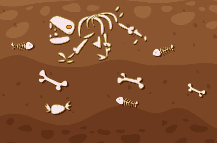 Underground vector
