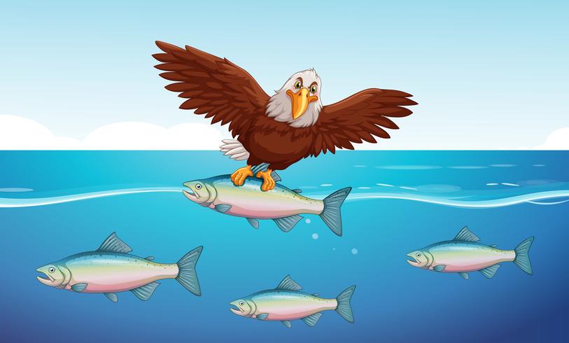 Águila salvaje atrapando peces en el mar vector