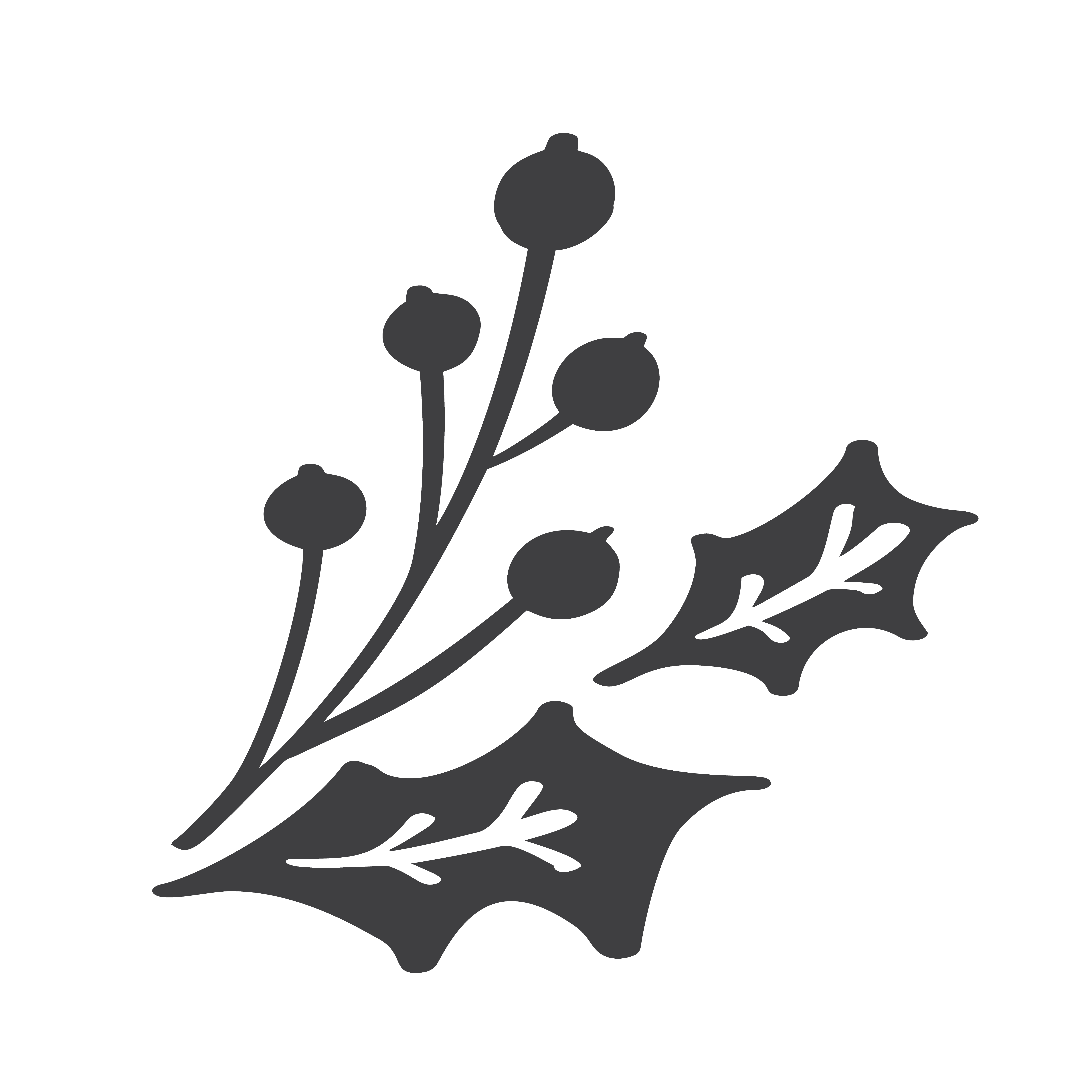 Download Christmas decorative branch elements design floral leaves ...