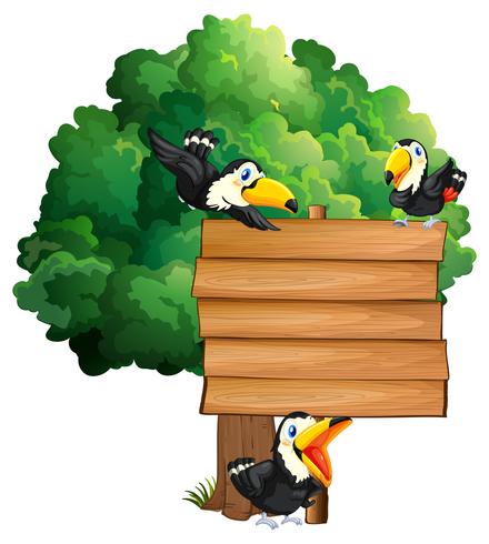 Wooden sign with three toucan birds vector