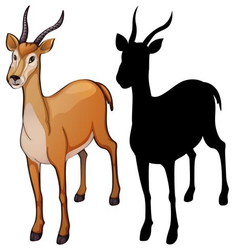 Set of gazelle design vector