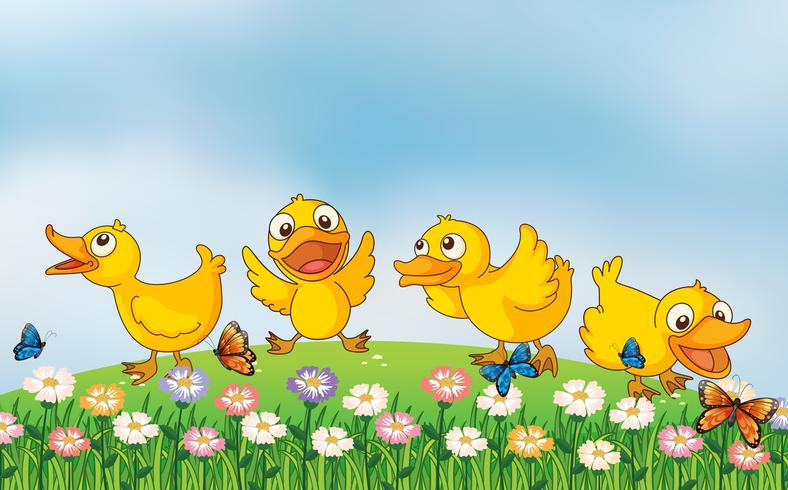 Four ducks playing in the park vector