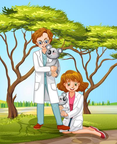 Veterinarian and Coala in Forest