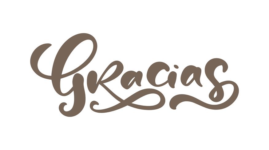 Gracias Thank you in Spanish calligraphy vector