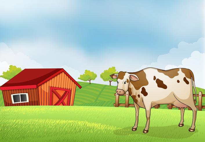A cow in the farm with a barn house vector
