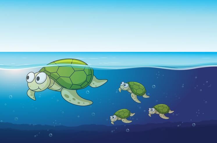 Sea turtles swimming in the ocean vector