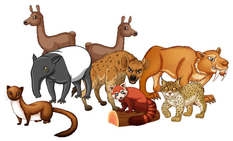 Group of wild animals vector