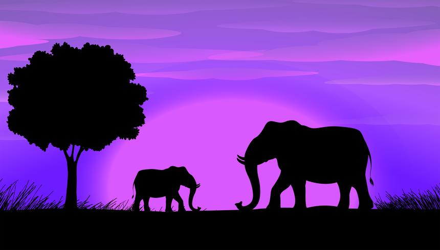 Silhouette Elephants vector