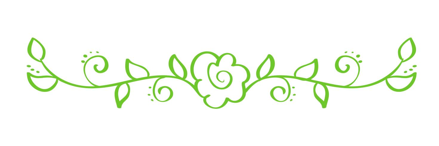 Separador caligráfico dibujado mano verde del vector. Elemento de diseño de flor de primavera. Decoración floral de estilo ligero para tarjetas de felicitación, web, bodas y estampados. Aislados en fondo blanco Ilustración de caligrafía y letras vector