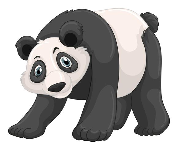 Panda de cara alegre vector