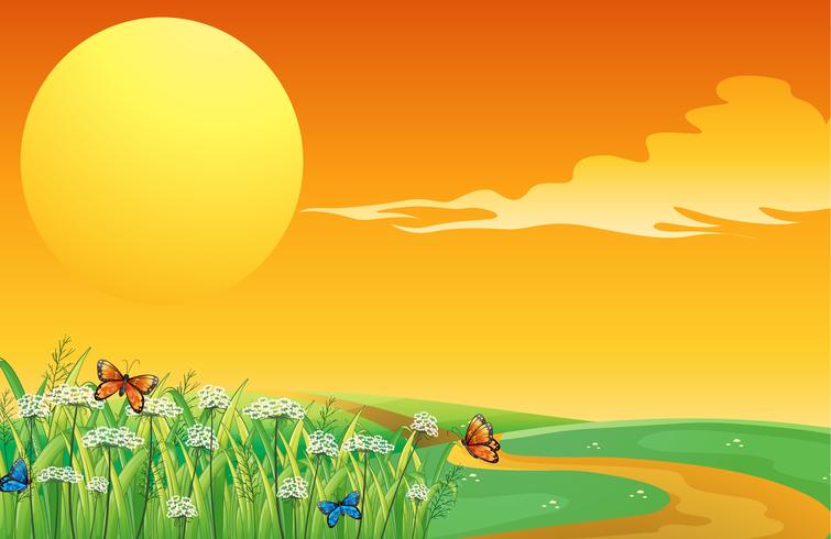 Butterflies in the garden in a sunset scenery vector