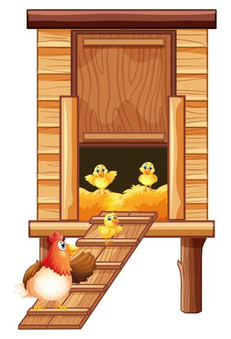 Chicken coop with hen and chicks vector