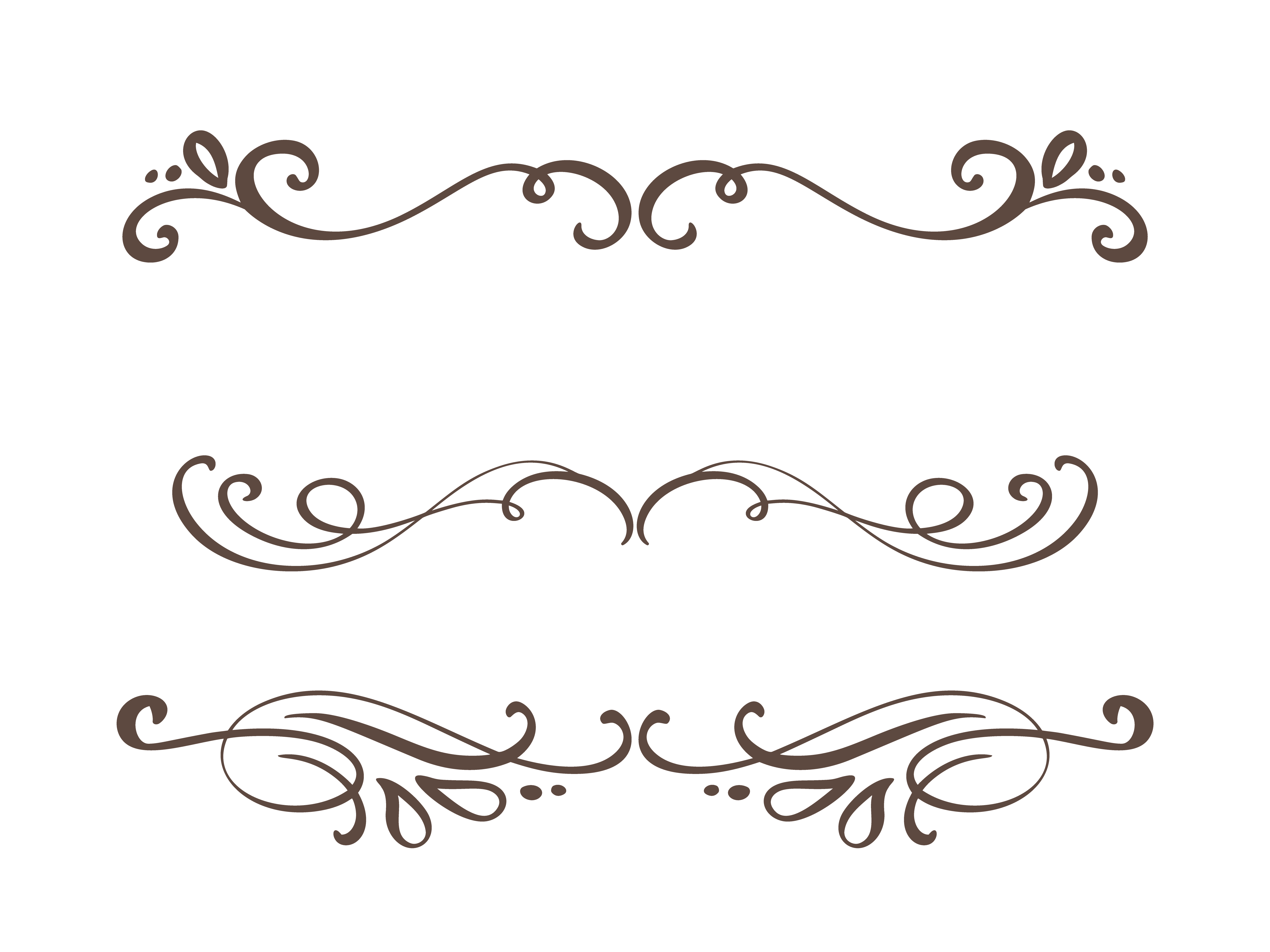 Vector Vintage Line Elegant Dividers And Separators Swirls And Corners