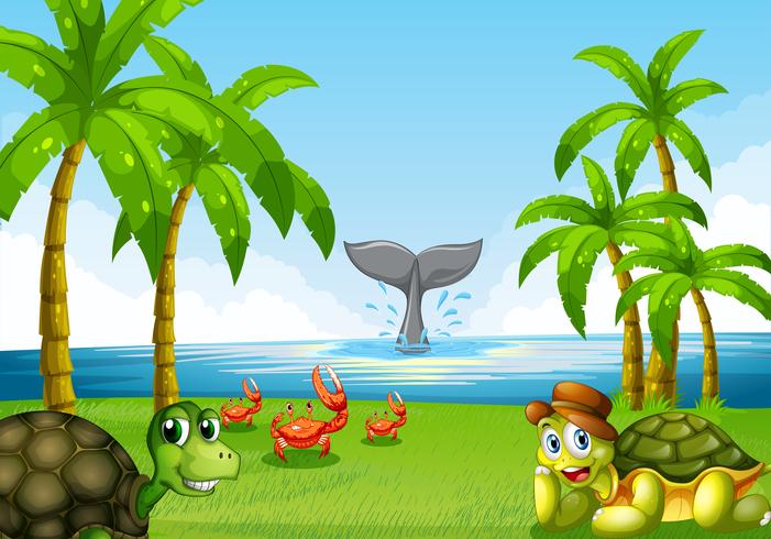 Animals and ocean vector