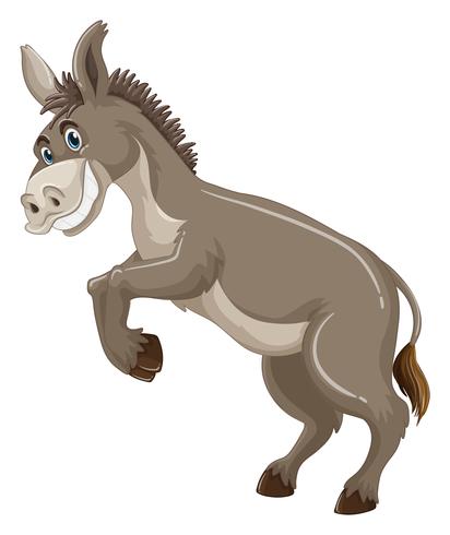 Burro con pelaje gris sonriendo vector