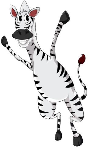 Zebra on white vector