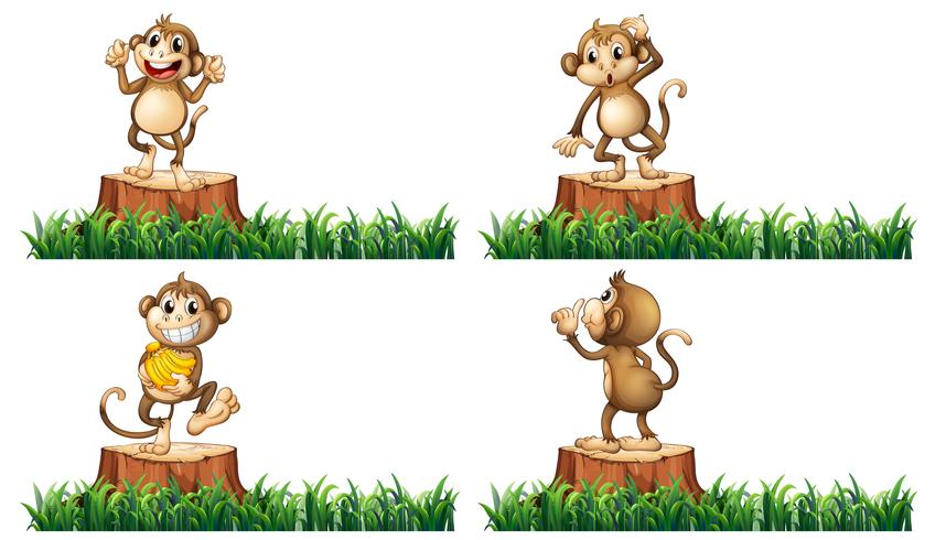 Happy monkeys on the stump trees vector