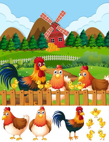 Chicken family at farmland vector