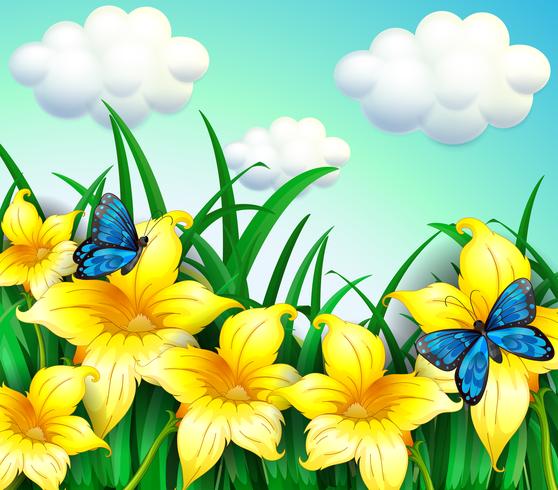 Un jardín con flores amarillas y mariposas azules. vector