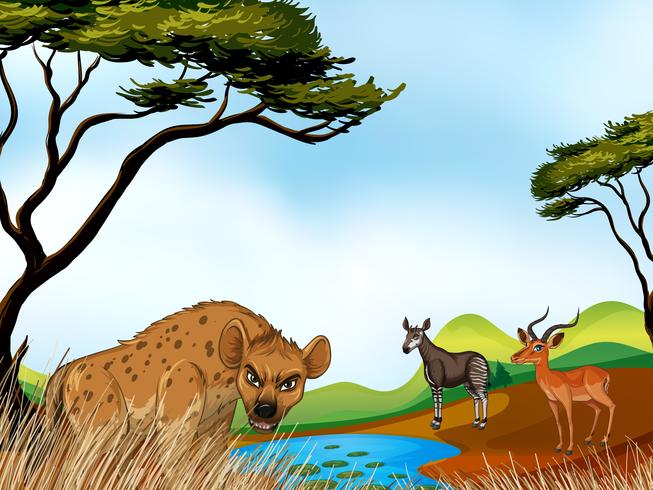Animals and field vector