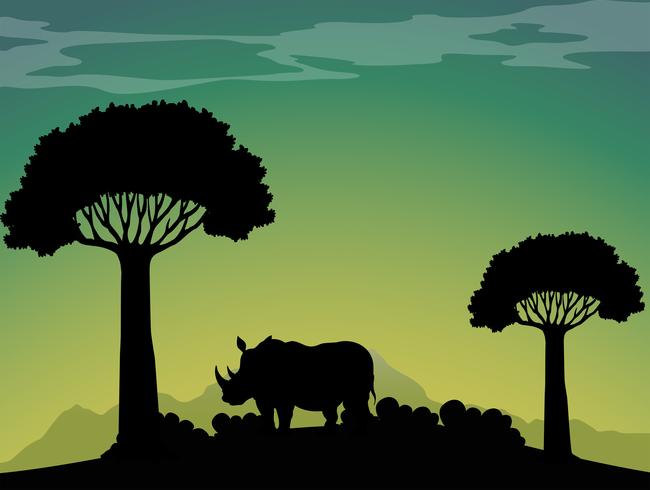 Silhouette rhino in the field vector