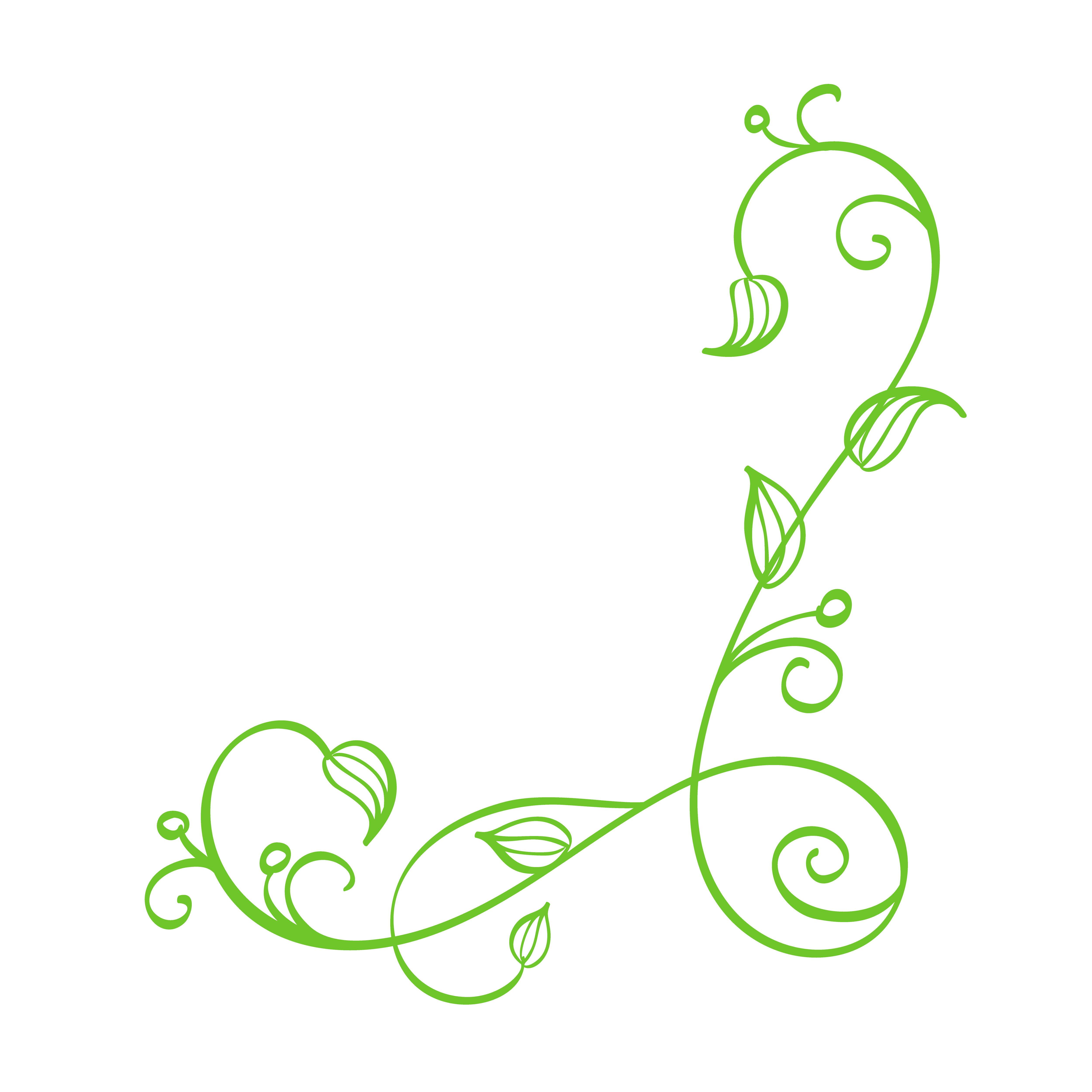 Green Vector Hand Drawn Calligraphic Corner. Spring Flourish Design