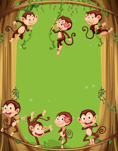 Border design with monkeys on the tree vector